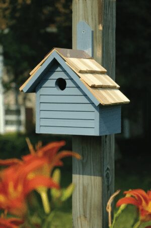 Cape Cod Wren House - Blue Pickle