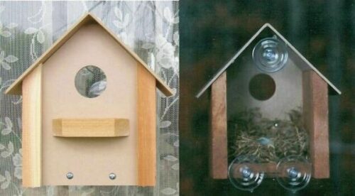 Window Nest Bird House