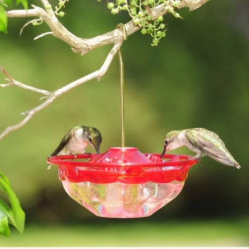 04 OZ HummBlossom Hummingbird Bird Feeder - Rose Color - Image 3