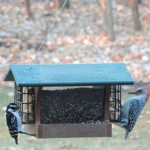 4 Quart Recycled Plastic Hopper Feeder with Suet Cages in Taupe and Green - Image 3