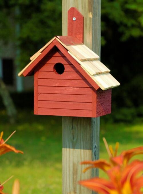 Cape Cod Wren House - Redwood