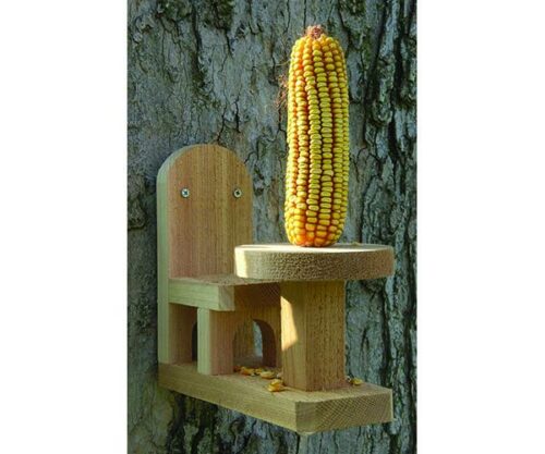 Squirrel Table and Chair Feeder