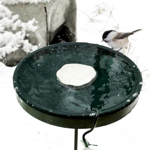 Heated Rock Bird Bath Deicer 75 Watts