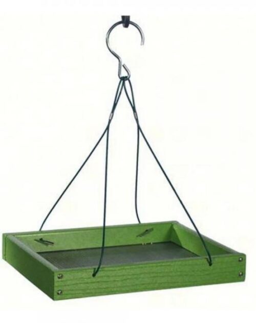 Audubon Series Go Green Platform Feeder Green