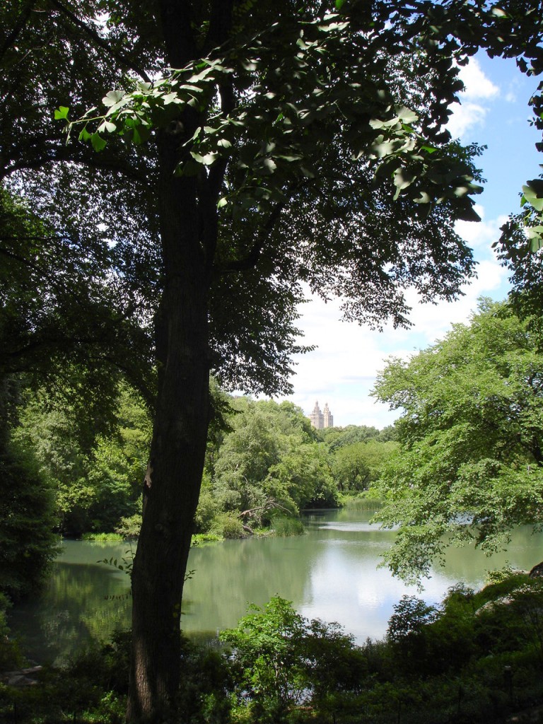 'Birders The Central Park Effect' premieres July 16 on HBO