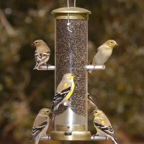 Small Quick Clean Antique Brass Finch Tube Feeder - Image 3