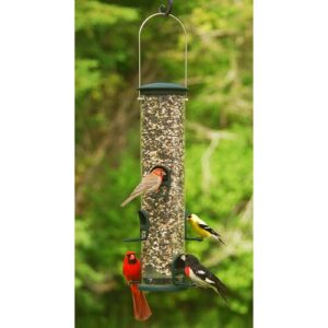 19"Quick Clean Big Tube Spruce Bird Feeder