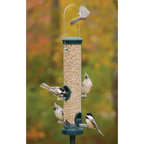 Medium Quick Clean Spruce Seed Tube - Image 2