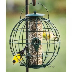 Petite Ball Caged Seed Feeder