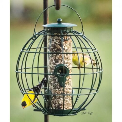 Petite Ball Caged Seed Feeder - Image 2