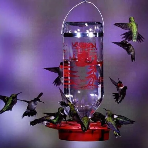 32 OZ   Hummingbird Bird Feeder - Bulk (excludes decorative box)