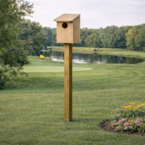 Black Bellied Whistling Duck House