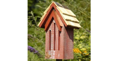 Mademoiselle Butterfly House - Red Whitewash - Image 2