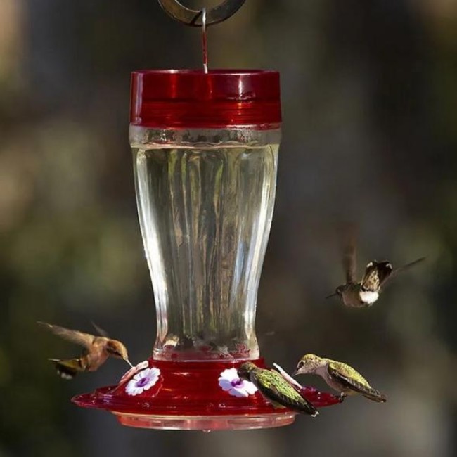 40 OZ Big Gulp Hummingbird Bird Feeder