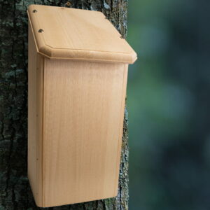 Coveside Bat Condominium