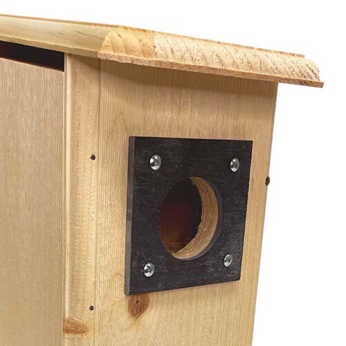 Three Woodpecker House - Image 3