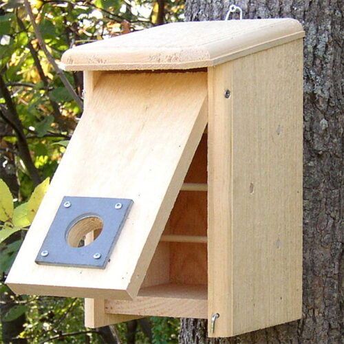 Coveside Convertible Bird House/Winter Roost - Image 4