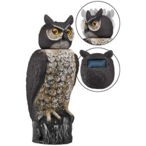 Solar Owl Decoy