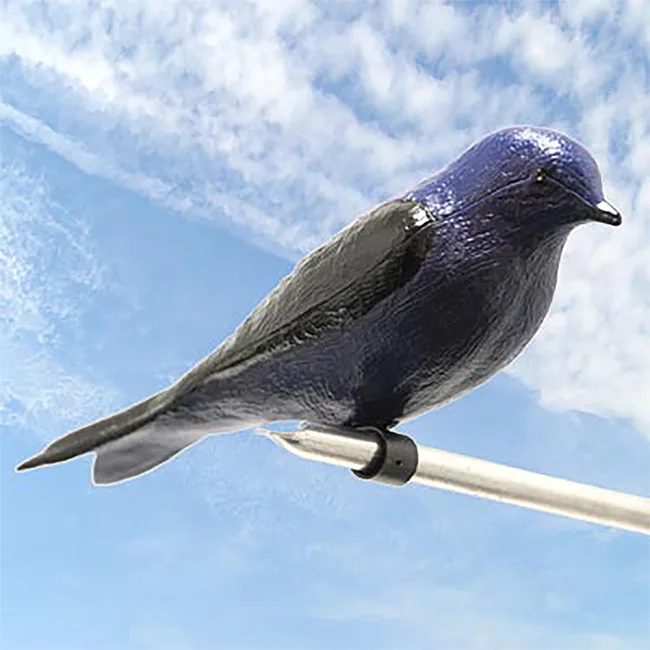 Heath Purple Martin Decoy