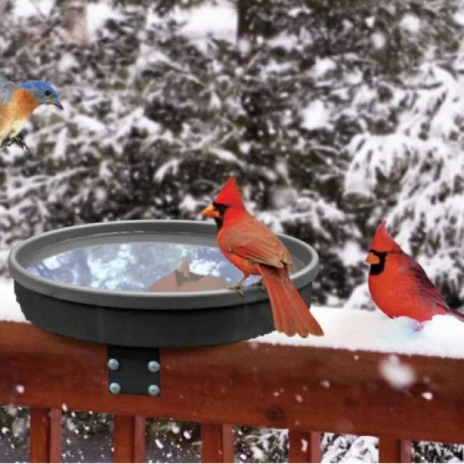 Heated Bird Bath for Deck Rail