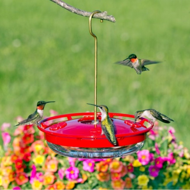 High-view hummingbird feeder designed to reduce bee and insect access