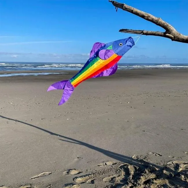 48" Rainbow Fish Windsock