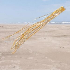 Yard Windsock
