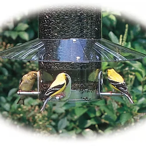 Weather Guard Replacement for Classic Bird Feeders - Image 2