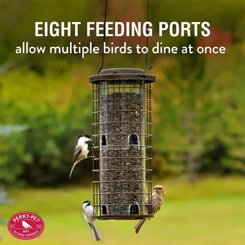 Squirrel Stumper Metal Cage Bird Feeder Backyard Chirper