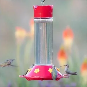 30 OZ  Best Hummingbird Bird Feeder