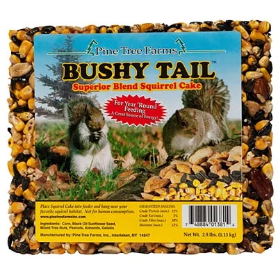 Pine Tree Farms Bushy Tail Squirrel Cake 2.5 lbs - Pack of 8 Cakes