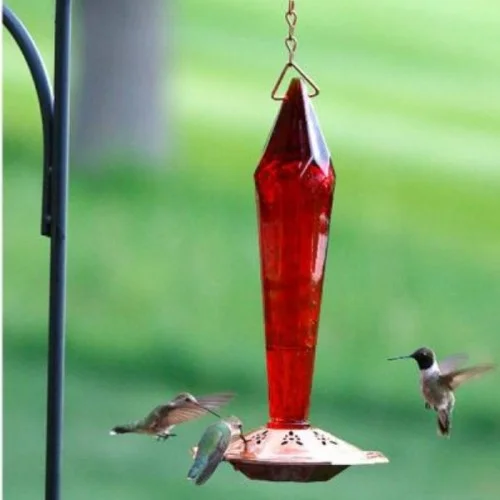 06 OZ Schrodt Faceted Ruby Hummingbird Bird Feeder