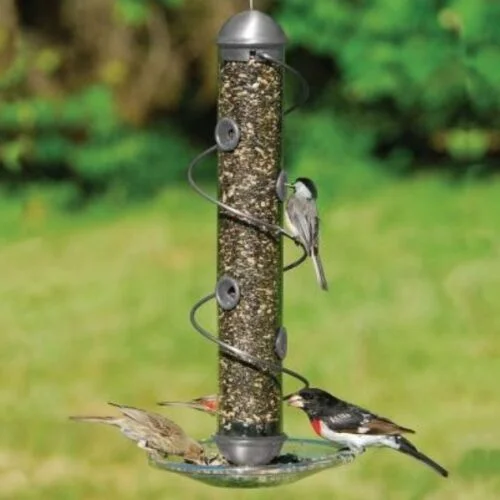 Songbird Essentials Clear Screw-On Seed Tray (Fits all Songbird Essentials BirdQuest feeders) - Image 3