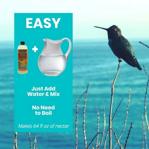 16 oz Hummingbird Nectar Concentrate - Image 2
