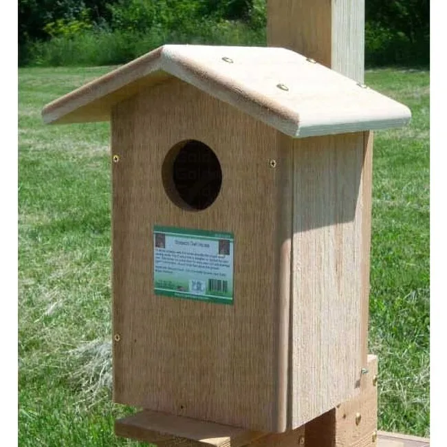 Cedar Screech Owl Birdhouse - Image 2