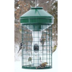 Vari-Crafts Caged Avian Mixed Seed Bird Feeder 2.375 gal