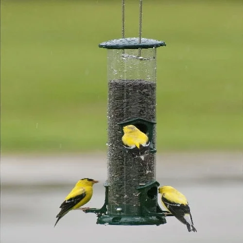 15" Metal Mixed Seed Tube Bird Feeder - Image 3