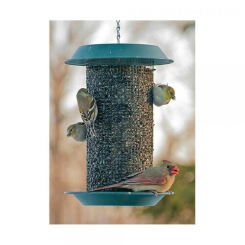 4-Quart Plastic Magnum Sunflower Screen Feeder