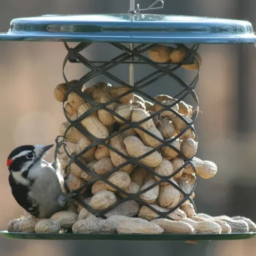 2 Quart Magnet Mesh Bird Feeder for Whole Peanuts in the Shell