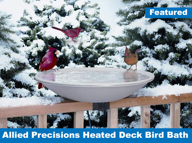 allied-precision-heated-bird-bath