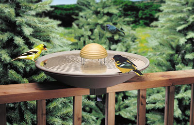 deck birdbath