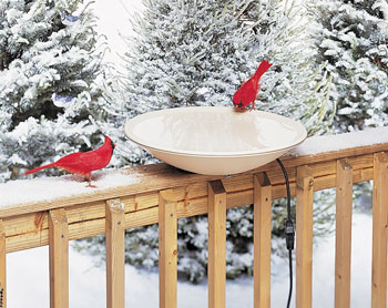 heated birdbath