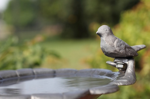 birdbath-447753_1280