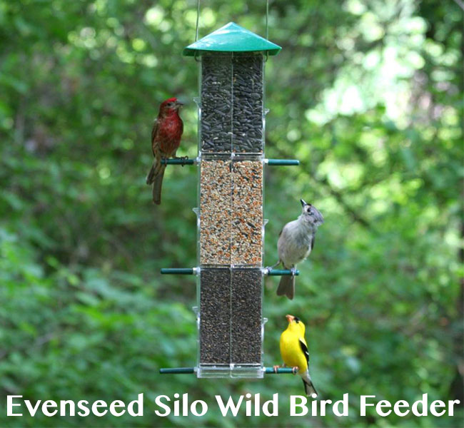 evenseed-silo-feeder