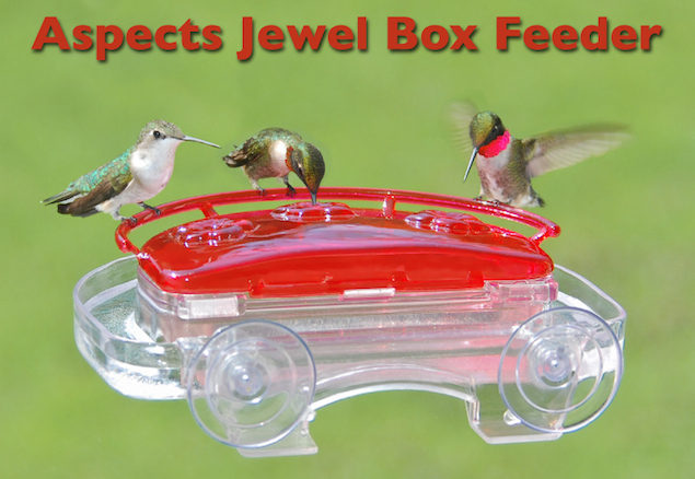 featured-aspects-hummingbird-feeder-small