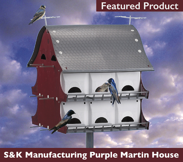 featured-purple-martin-house-small