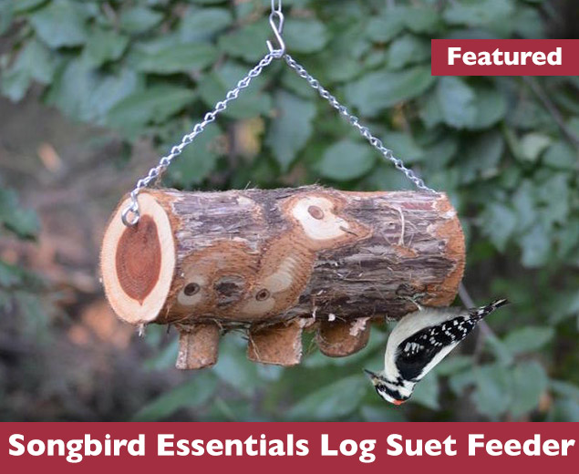 featured-songbird-essentials-suet-log