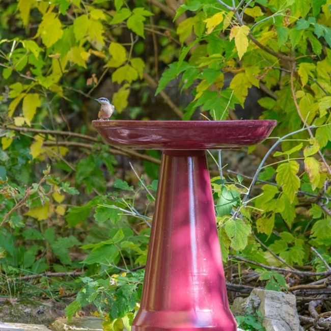 Ohio Stoneware Burgundy Bird Bath