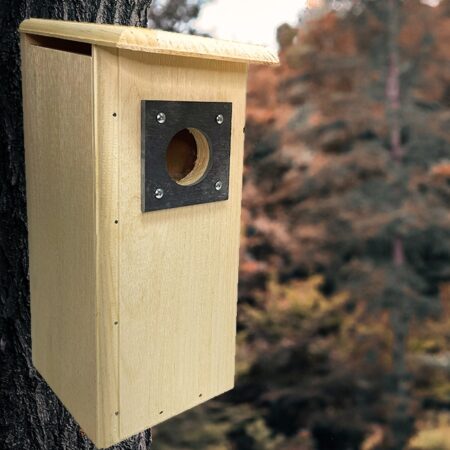 Woodpecker & Flicker Bird Houses