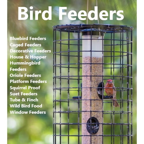 Bird Feeders Archives - Backyard Chirper